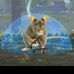 Profile Picture of Martin Rincon (@martin.rincon.733076) on Facebook