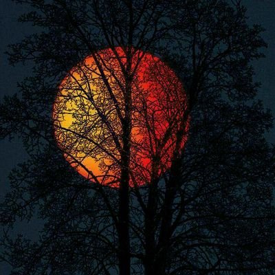 Profile Picture of Casey Ritter (@CaseyRitter9) on Twitter