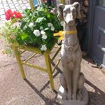 Profile Picture of Morag Smith (@pawshabbychicfurniture) on Instagram