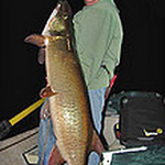 Mike Coley - Flickr Profile Picture of Mike Coley (@newrivermuskyguide) on Flickr