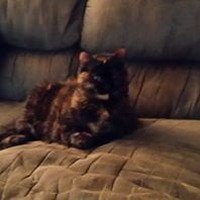 Profile Picture of Karen Suchon (@karen-suchon) on Quora