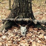 Profile Picture of Scott Struble (@doubleshydrographix) on Instagram