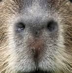 Profile Picture of Michael Gifey (@michael.gifey) on Facebook