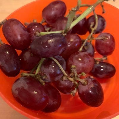Profile Picture of jacquelynachapman (@jacquelynachapman) on Tiktok
