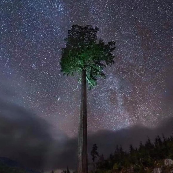 Profile Picture of Micha Michi (@michimicha) on Poshmark