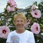 Profile Picture of Roseanne Clancy (@photoro70) on Instagram