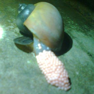 Profile Picture of Derie (@derie.derie.3910) on Facebook