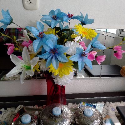 Profile Picture of Graciela Monroy Hernández (@GracielaMonro20) on Twitter
