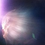 Profile Picture of Jeremy Beddingfield (@jeremy.beddingfield.18) on Facebook