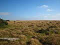 Profile Picture of Craddock Moor stone circleon Wikipedia