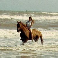 Profile Picture of Lacey Gilbert (@laceygilbert62) on Tiktok