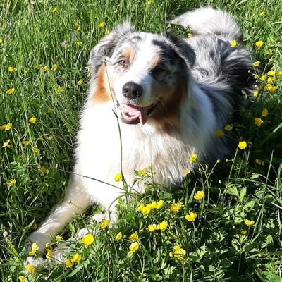 Profile Picture of Sundmacher,Rene (@SundmacherR) on Twitter