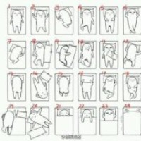 Profile Picture of Siran Victor Li (@siran-victor-li) on Quora