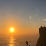 Profile Picture of Maureen Caparelliotis (@maureencaparelliotis1957) on Instagram