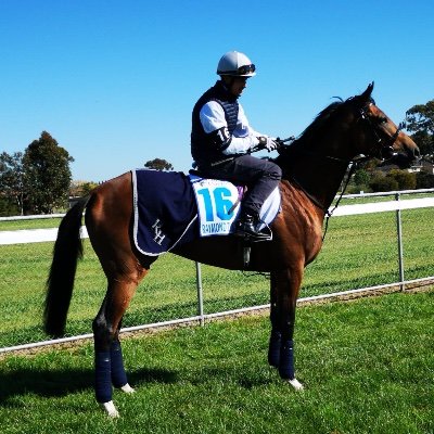 Profile Picture of Joe Kington (@joe_kington) on Twitter