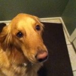 Profile Picture of Jeremy Mathers (@jeremy_mathers) on Instagram