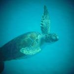 Profile Picture of Randy Zellner (@rlzellner23) on Instagram