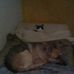 Profile Picture of Chris Glockner (@chris.glockner.58) on Facebook