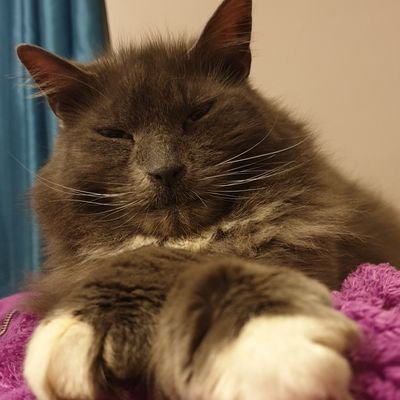 Profile Picture of Suzanne Pugh (@SuzannePugh12) on Twitter