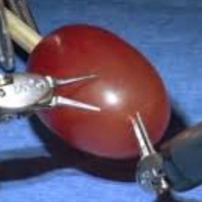 Profile Picture of Lemon (@TylerCa46404173) on Twitter