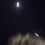 Profile Picture of Daubry Pletnick (@Daubry-Pletnick) on Facebook