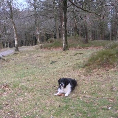 Gordon Hooper - Twitter Profile Picture of Gordon Hooper (@gordonhooper11) on Twitter