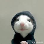 Profile Picture of Lam Anh Tu (@lam.anh.tu.855131) on Facebook