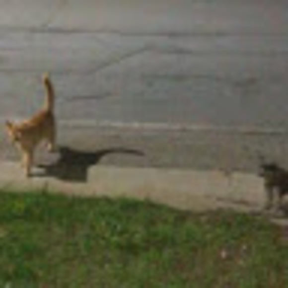 Madeline Yerxa - Poshmark Profile Picture of Madeline Yerxa (@madelineyerxa) on Poshmark