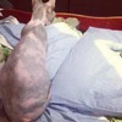 Profile Picture of Roberta Ramsey (@simon_roberta) on Twitter