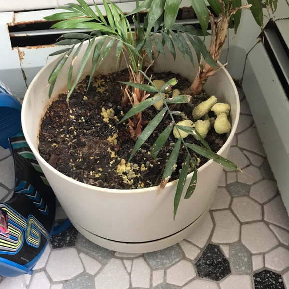 Aimee Kenson - Poshmark Profile Picture of Aimee Kenson (@aimeebruce) on Poshmark