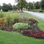 Profile Picture of Norbert Kipp (@norbert.kipp.3) on Facebook