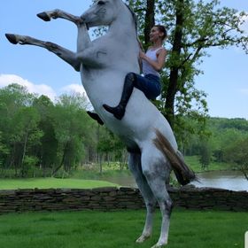 Profile Picture of alexandra Maler (@cenders1308) on Pinterest