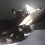 Profile Picture of Joe Neil. (@joe.n._) on Instagram