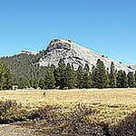 Profile Picture of Daniel Ro (@daniel ro) on Flickr