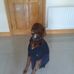 Profile Picture of Sean Cotter (@sean.cotter.9081) on Facebook