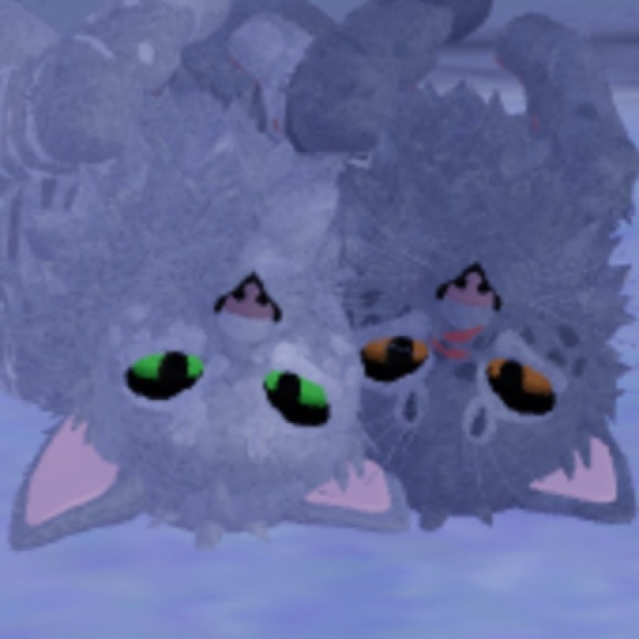 Profile Picture of Dessa Eskelson (@dessaeskelson) on Poshmark