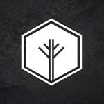 Profile Picture of Brian's Palms and Pavers (@brians_palms_and_pavers) on Instagram