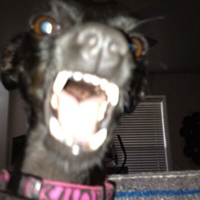 Profile Picture of Lucy Mora (@lucymora72) on Twitter