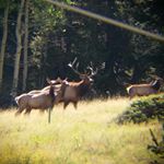 Profile Picture of John Kishbaugh (@co_pursuit) on Instagram