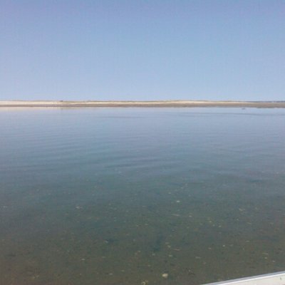 Profile Picture of Nelson Richards (@Centristchowdah) on Twitter