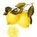 Profile Picture of Keith Freitas (@keith.freitas.35) on Facebook