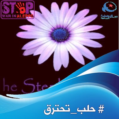 Profile Picture of StephanieRoseCrohns (@StephRoseCFn) on Twitter