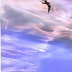 Profile Picture of BROOKES (@brookeslea) on Instagram