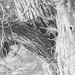 Zachary Pittman - Instagram Profile Picture of Zachary Pittman (@big_pitt14) on Instagram