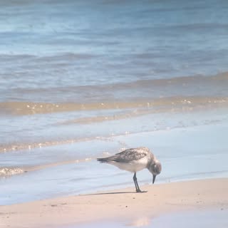 Joseph Danyi - Instagram Profile Picture of Joseph Danyi (@danyijoseph) on Instagram