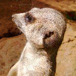 Profile Picture of Peter Burlis (@pyburlis) on Instagram