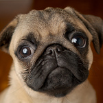 Profile Picture of Jack Ben Daisy (@jack ben daisy) on Flickr