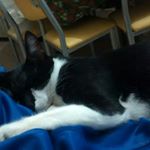 Profile Picture of Monica Imhoff (@imhoffmonica) on Instagram