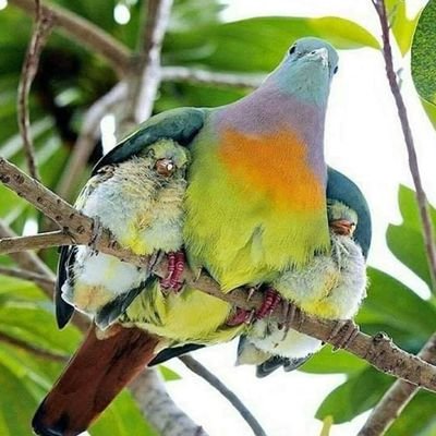 Profile Picture of Maxine Yates (@maxi3073) on Twitter