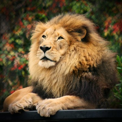 Profile Picture of Curtis Egan (@Concudan) on Twitter